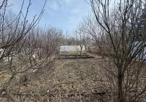 Дом 54м², 1-этажный, участок 4 сот.