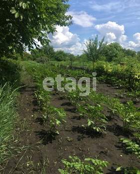 Дом 44м², 1-этажный, участок 9 сот.