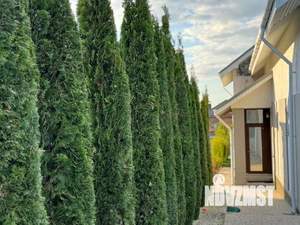 Коттедж 255м², 2-этажный, участок 8 сот.