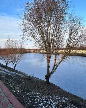 Дом 400м², 1-этажный, участок 30 сот.