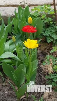 Дом 200м², 2-этажный, участок 15 сот.