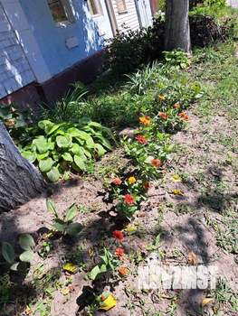 Дом 79м², 1-этажный, участок 1 сот.