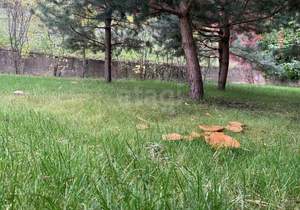 Дом 490м², 3-этажный, участок 50 сот.