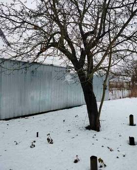 Дом 65м², 1-этажный, участок 6 сот.