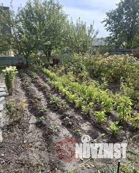 Дом 63м², 1-этажный, участок 7 сот.