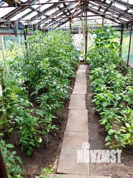 Коттедж 215м², 2-этажный, участок 14 сот.