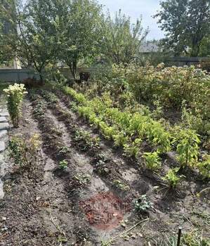 Дом 63м², 1-этажный, участок 7 сот.