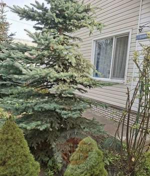 Дом 63м², 1-этажный, участок 7 сот.