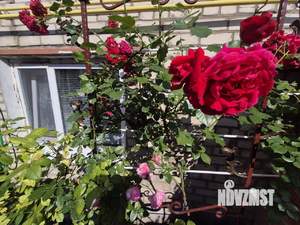 Дом 85м², 1-этажный, участок 6 сот.