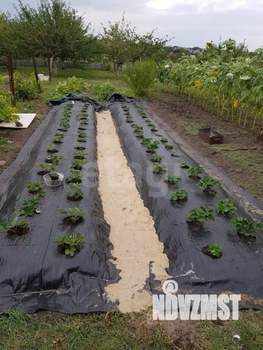 Дом 200м², 2-этажный, участок 15 сот.