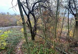 Дом 20м², 2-этажный, участок 4 сот.  