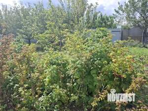 Дом 157м&sup2;, 1-этажный, участок 15 сот.  