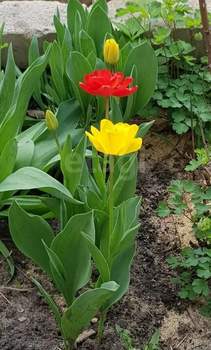 Дом 200м&sup2;, 2-этажный, участок 15 сот.  