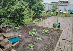 Дом 110м&sup2;, 1-этажный, участок 5 сот.  