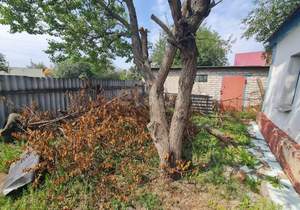 Дом 49м&sup2;, 1-этажный, участок 20 сот.  