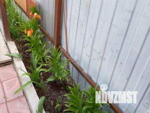 Дом 55м², 1-этажный, участок 3 сот.  