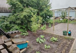 Дом 110м&sup2;, 1-этажный, участок 5 сот.  