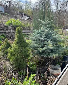 Дом 30м&sup2;, 1-этажный, участок 6 сот.  