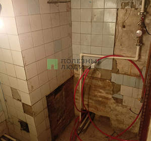 Дом 53м&sup2;, 1-этажный, участок 14 сот.  