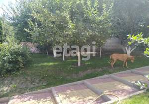 Дом 370м&sup2;, 3-этажный, участок 18 сот.  