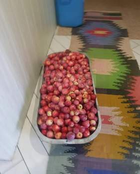 Дом 200м&sup2;, 2-этажный, участок 15 сот.  