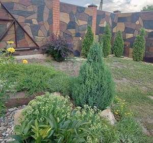 Дом 215м&sup2;, 2-этажный, участок 10 сот.  