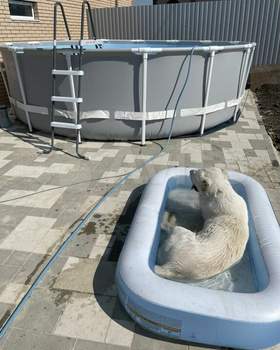 Дом 232м&sup2;, 2-этажный, участок 15 сот.  