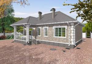 Дом 100м&sup2;, 1-этажный, участок 13 сот.  