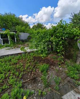 Дом 60м&sup2;, 1-этажный, участок 12 сот.  