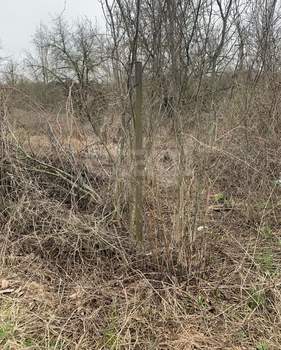 Дом 12м&sup2;, 2-этажный, участок 6 сот.  