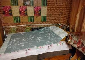 Дом 42м&sup2;, 1-этажный, участок 42 сот.  