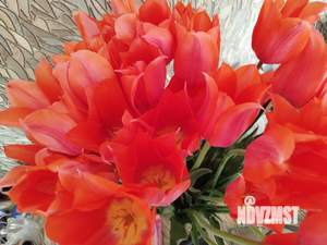 Дом 53м&sup2;, 1-этажный, участок 14 сот.  