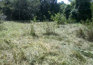 Дом 20м&sup2;, 2-этажный, участок 5 сот.  