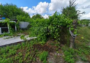 Дом 60м&sup2;, 1-этажный, участок 12 сот.  