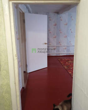 Дом 43м&sup2;, 1-этажный, участок 15 сот.  