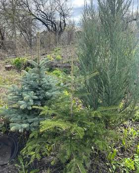 Дом 30м&sup2;, 1-этажный, участок 6 сот.  