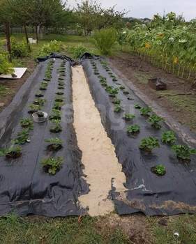 Дом 200м&sup2;, 2-этажный, участок 15 сот.  