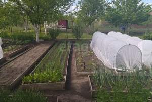 Дом 151м&sup2;, 2-этажный, участок 8 сот.  