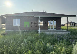Дом 119м², 1-этажный, участок 12 сот.  