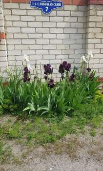 Дом 200м&sup2;, 2-этажный, участок 15 сот.  