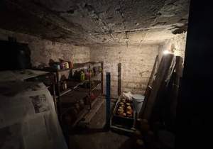 Дом 45м&sup2;, 1-этажный, участок 4 сот.  