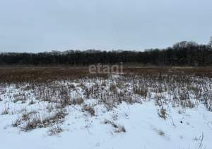 Дом 140м&sup2;, 2-этажный, участок 18 сот.  