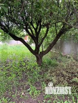 Дом 85м², 1-этажный, участок 10 сот.  