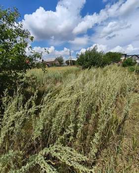 Дом 60м&sup2;, 1-этажный, участок 12 сот.  