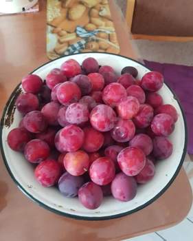 Дом 200м&sup2;, 2-этажный, участок 15 сот.  