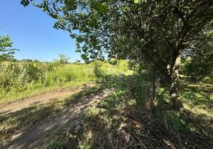 Дом 20м&sup2;, 2-этажный, участок 9 сот.  