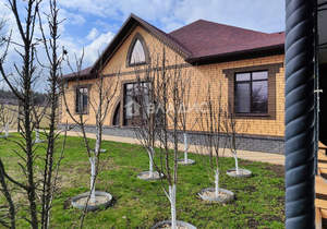 Дом 447м², 1-этажный, участок 30 сот.  