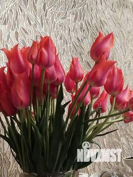 Дом 53м&sup2;, 1-этажный, участок 14 сот.  