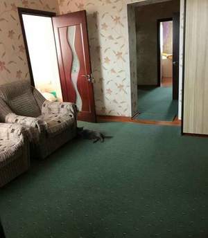 Дом 340м², 2-этажный, участок 15 сот.  
