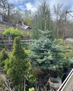 Дом 30м&sup2;, 1-этажный, участок 6 сот.  